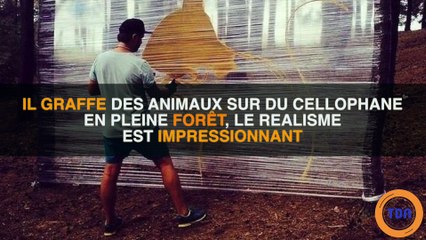 Il peint des animaux sur du cellophane en pleine forêt, le résultat est bluffant
