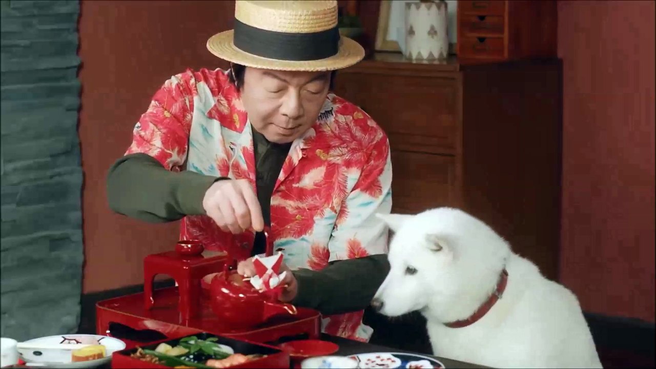 【上戸彩、竹内涼真、樋口可南子、古田新太、杉咲花、ダンテ・カーヴァー 】ソフトバンク （SoftBank）「父、ニャーとなく」篇+「父、BIGになる」篇 2話