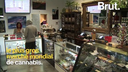 En légalisant la vente libre de cannabis, la Californie devient le plus gros marché mondial