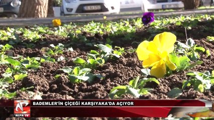 Bademler'in Çiçeği Karşıyaka'da Açacak