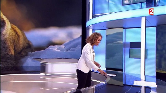 Environnement : comment sauver les espèces menacées ?