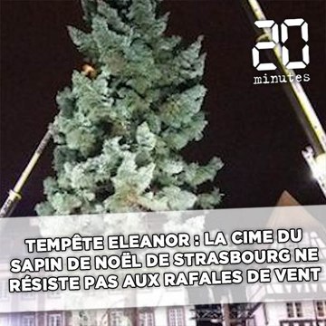Tempête Eleanor: La cime du grand sapin de Noël de Strasbourg ne résiste pas aux rafales de vent