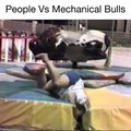 People Vs. Mechanical Bulls