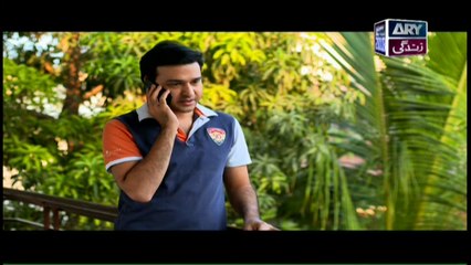 Haya Kay Rang Episode 214 In High Quality on Ary Zindagi 3rd January 2018