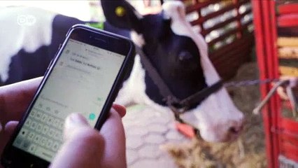 Economía creativa - Tambero, software para el campo | Economía creativa