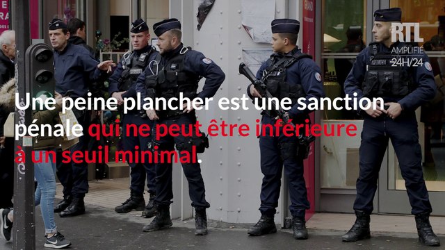 Les syndicats de police veulent le retour des peines planchers