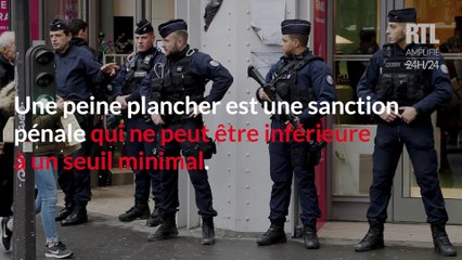 Download Video: Les syndicats de police veulent le retour des peines planchers