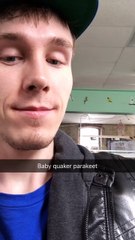 Happy Little Quaker Parrot