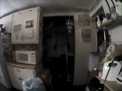 New York : Un policier se fait attaquer par un écureuil !