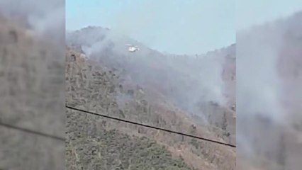 충남 공주 갑하산서 불...임야 0.2ha 소실 / YTN