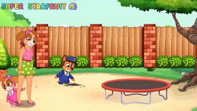 Bubble Guppies Full Episodes| Bubble Guppies Gil & Molly Pretend Drowning In Pool| Animation For Ki