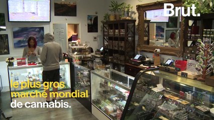 La Californie légalise le cannabis récréatif