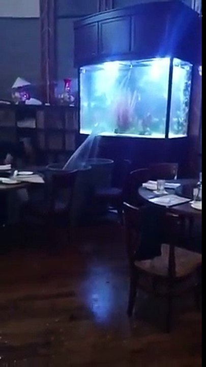 L’aquarium d’un restaurant craque et c’est le drame !