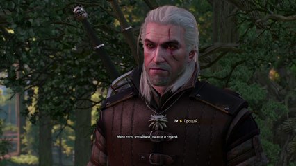 Ведьмак 3: Дикая Охота_20180103224407
