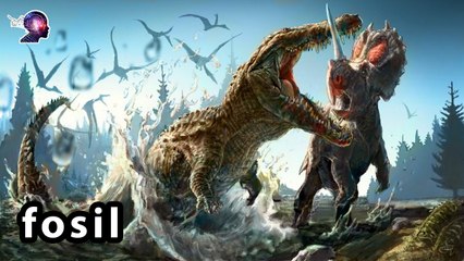 Paleontoloji Nedir ?   Fosil Nedir ?