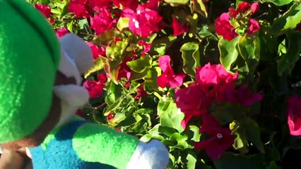 Mario and Luigi Go on Vacation