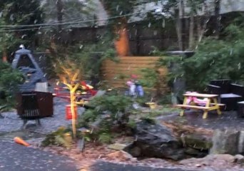 Young Girl Delights in Seeing Snow for the First Time in Florida