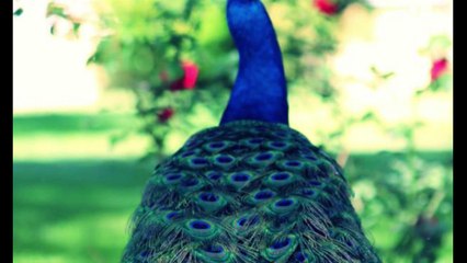 Vinos y Amigos Programa 186 Bloque 1