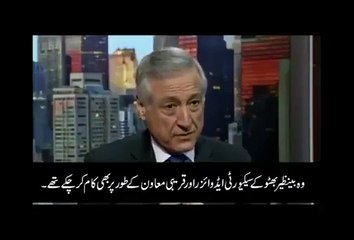 The Head of the UN Commission which investigated Benazir's murder says Rehman Malik attempted to influence the investiga