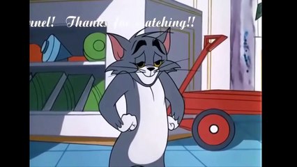 Tom And Jerry English Episodes - I'm Just Wild About Jerry  - Cartoons For
