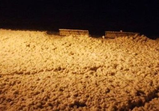 Happy Dog As Storm Eleanor Covers Bundoran Beach With Sea Foam