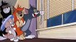 Tom And Jerry English Episodes - Saturday Evening Puss  - Cartoons For Kids Tv-v