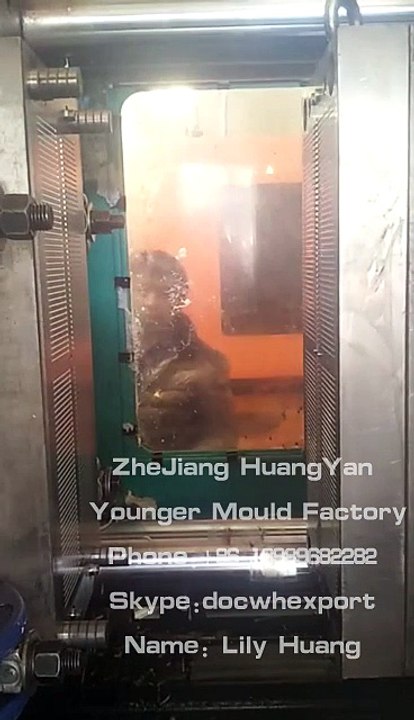 automotive nylon cable tie injection mould molds 1