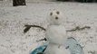 Heavy Snow Blankets South Carolina as Winter Storm Slams Eastern States
