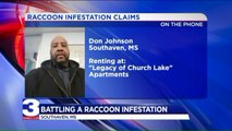 Mississippi Family Battling `Festering` Raccoon Infestation at Apartment
