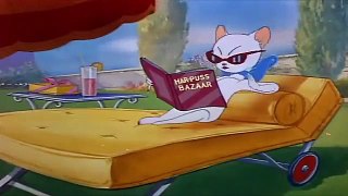 Tom And Jerry English Episodes - Springtim