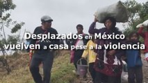 Desplazados en montañas del sureste de México vuelven a casa pese a la violencia