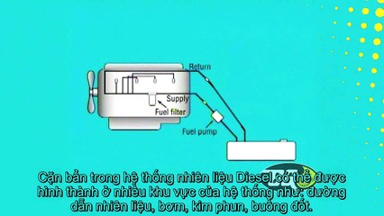 Dịch vụ làm sạch kim phun nhiên liệu diesel