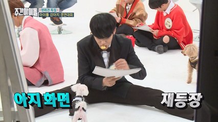 (Weekly Idol EP.336) A puppy takes a walk for the owner!? [본격 반려견이 주인 산책시키는 현장 大공개]