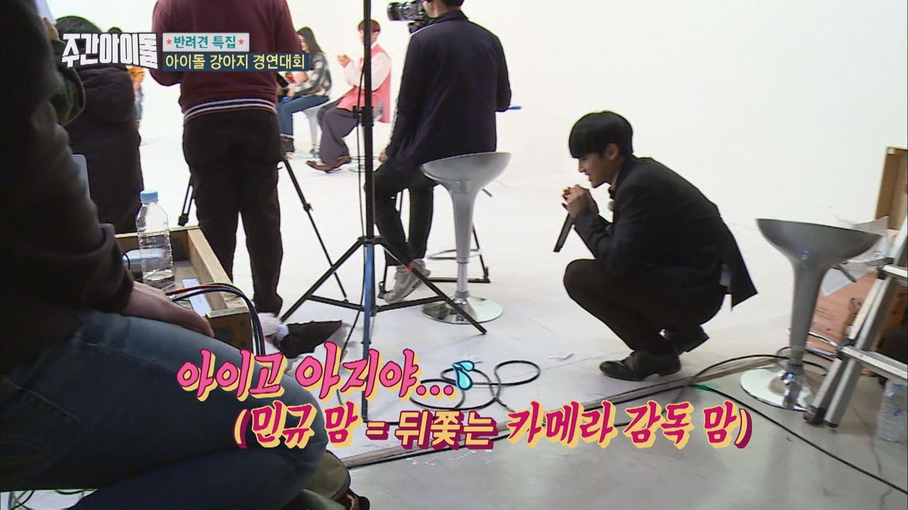 (Weekly Idol EP.336) Look at the puppy!! So Cute!! [흥 大폭발! 댕댕이 프리덤]