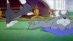 Tom And Jerry English Episodes - Quiet Please!  - Cartoons F