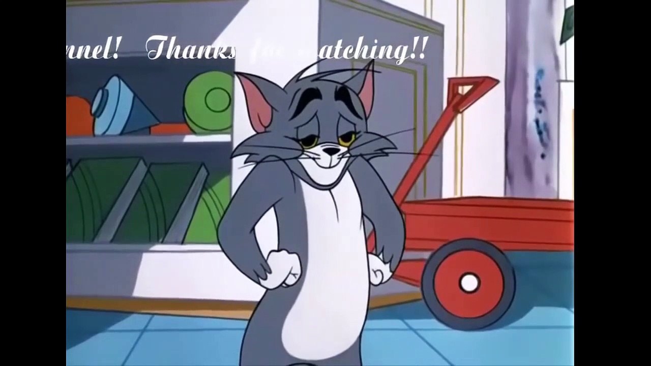 Tom And Jerry English Episodes - I'm Just Wild About Jerry  - Cartoons Fo