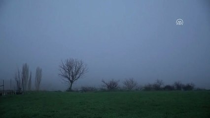 Trakya'da Sis Etkili Oluyor