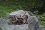 Watch Vikings Season 5 Episode 8 - The Joke #FullVersion