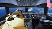 Burung di pesawat: burung gereja dalam kokpit pesawat Delta terpaksa putar balik - TomoNews