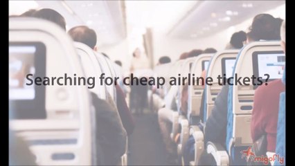 How to find cheap airline tickets to Daytona Beach Florida?