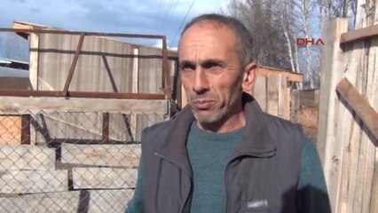 Bursa Yavru Köpeklerini Çalanı Bulana Arabasını Hediye Edecek