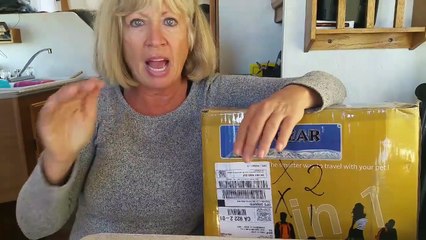 Additional solar and the Energizer Jack Russell - Full time van life