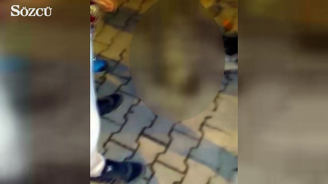 Belediye suç üstü yakalandı! Köpekleri katlettiler...