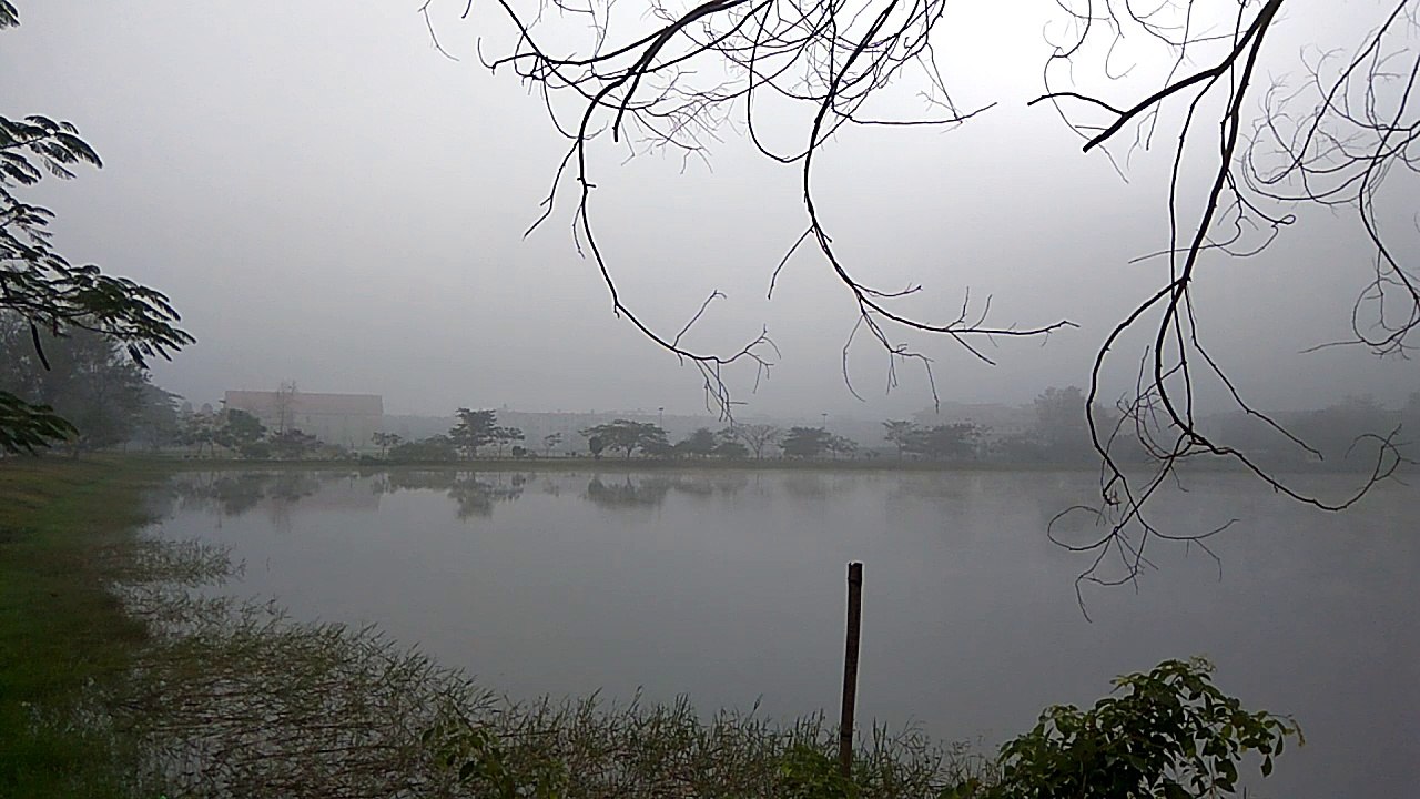 foggylake