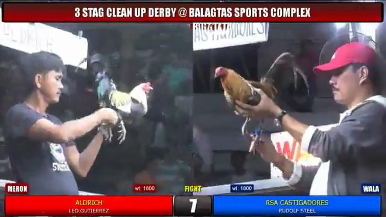 3 Stag Clean Up Derby: Fight #7