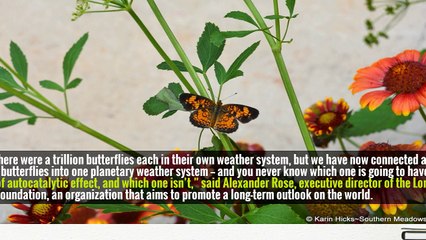 Expect 2018 to Be More Sane? Sorry, It’s Not Going to Happen