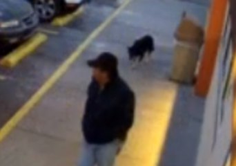 Man Who Deserted Dog at Dunkin' Donuts Parking Lot Ticketed for Neglect