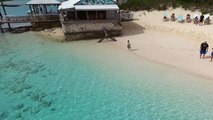 Un enfant dans l'eau attire des requins (Bahamas)