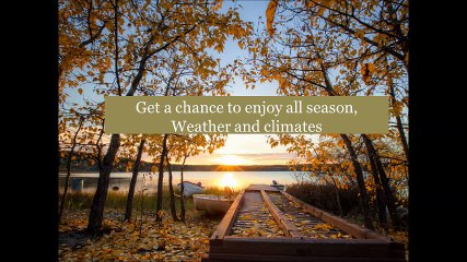 Ultimate Reasons Why Thomas N Salzano Love to Travel?