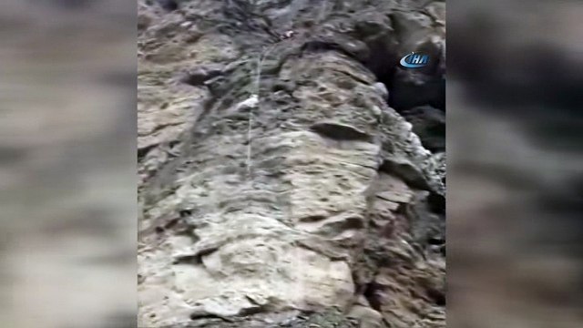 Yüz metrelik uçurumda mahsur kalan keçileri AFAD ekipleri böyle kurtardı